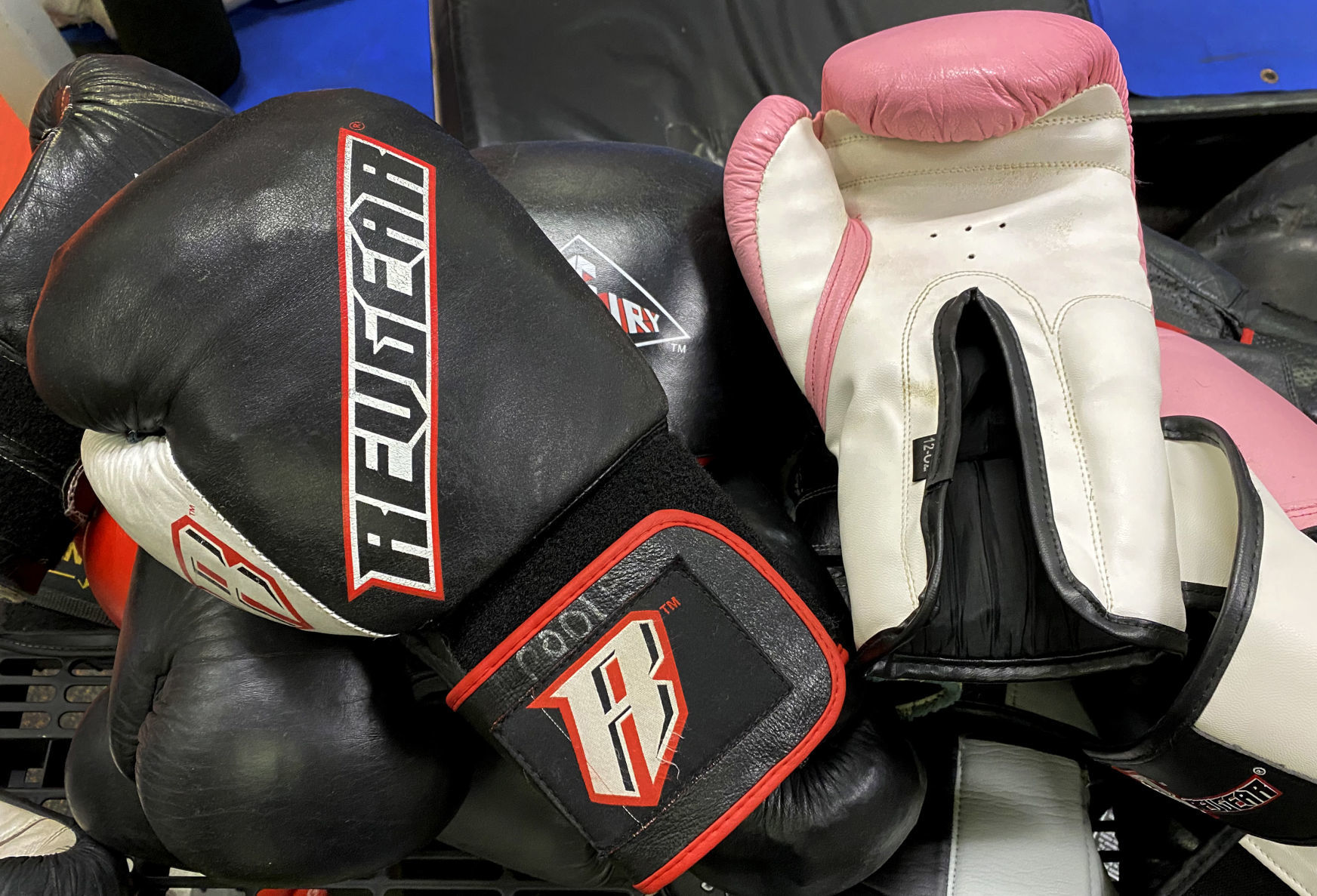 MMA kickboxing 5